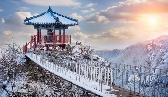 تور کره جنوبی